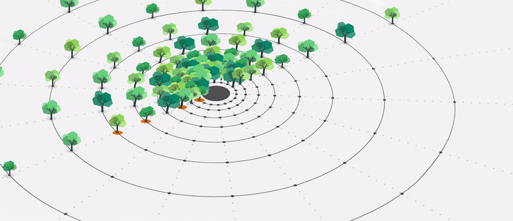 Grafik: Audi Stiftung für Umwelt – Aufbau der 'Eichen-Nelderflächen' Grafik: Audi Stiftung für Umwelt – Aufbau der 'Eichen-Nelderflächen'