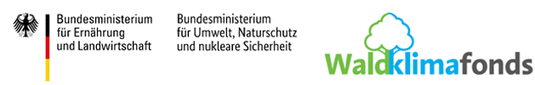Waldklimafonds – ein Projektträger des Bundesministeriums für Ernährung und Landwirtschaft (BMEL) und des Bundesministeriums für Umwelt, Naturschutz und nukleare Sicherheit (BMU) – waldklimafonds.de