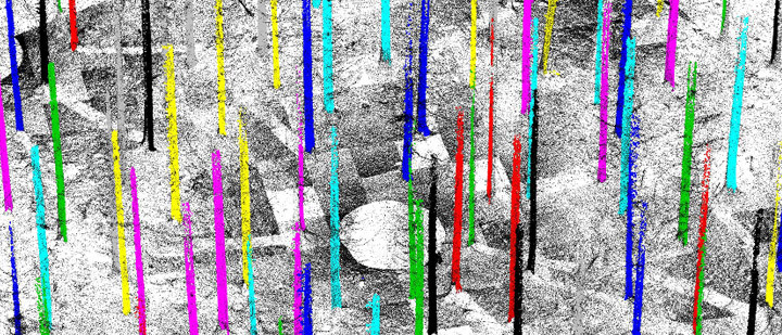 Terrestrischer Laserscan (RIEGL Z-420i) Terrestrischer Laserscan (RIEGL Z-420i)