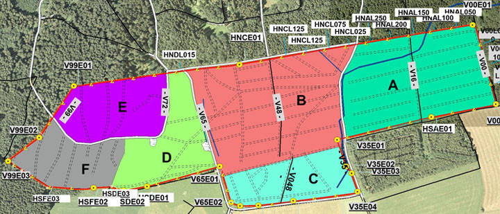Traunsteiner Stadtforst mit markierten Versuchsflächen Traunsteiner Stadtforst mit markierten Versuchsflächen