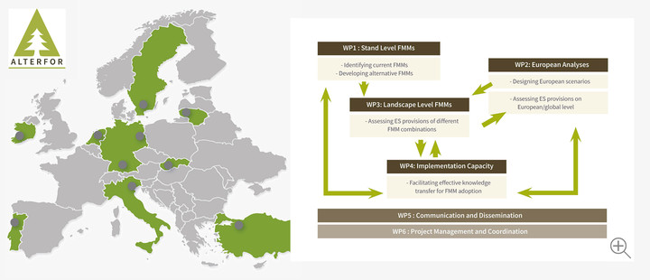 ALTERFOR – Participating countries and workpackages ALTERFOR – Participating countries and workpackages