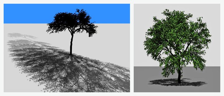 Laserscans zur Beschattungswirkung und Baumstruktur Laserscans zur Beschattungswirkung und Baumstruktur