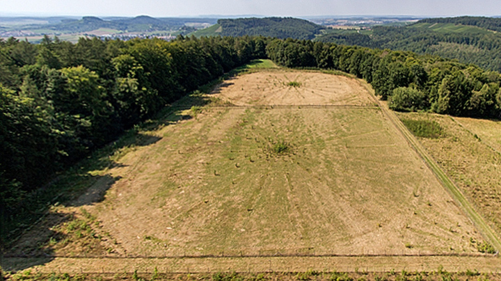Foto: TUM – Luftbildaufnahme Versuchsfläche "Neckarsulm – NEC 652"